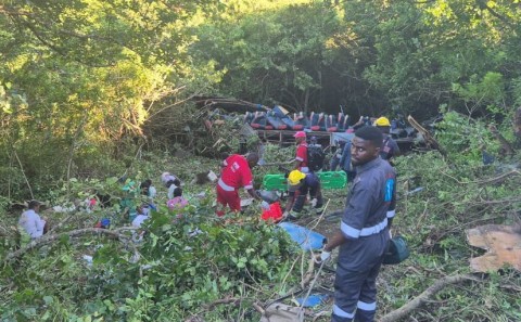 Nine dead and dozens more injured in a bus crash near Mandeni