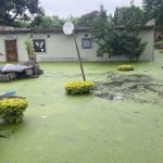 KZN floods | Victims demand permanent homes
