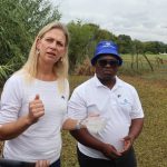 Tiny weevils can fight off invasive aquatic plant on SA’s rivers
