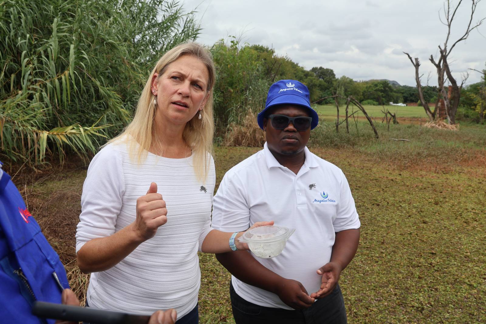 Tiny weevils can fight off invasive aquatic plant on SA’s rivers