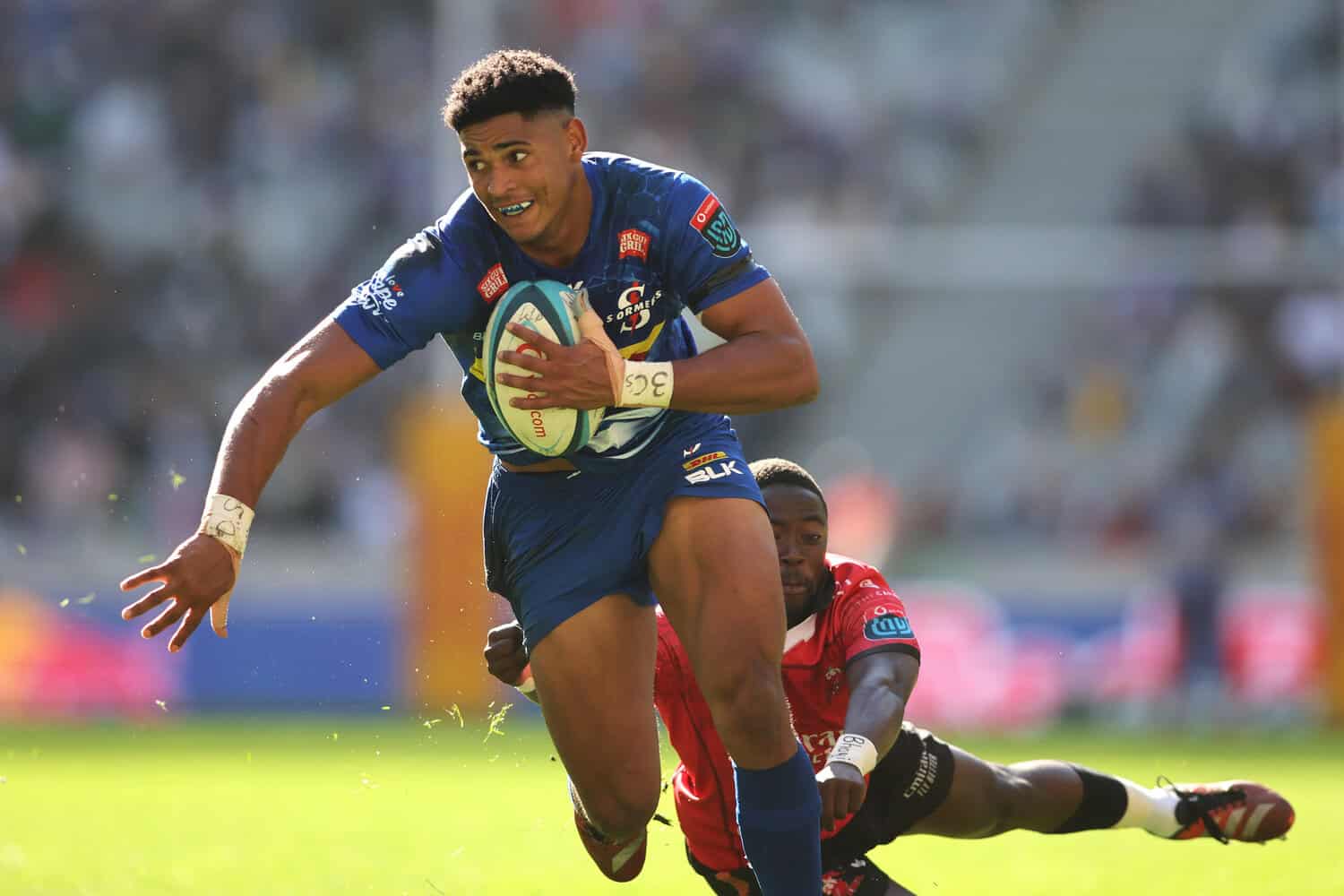 Sacha to go full throttle for Stormers against Scarlets