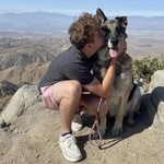 This man rates dogs for a living