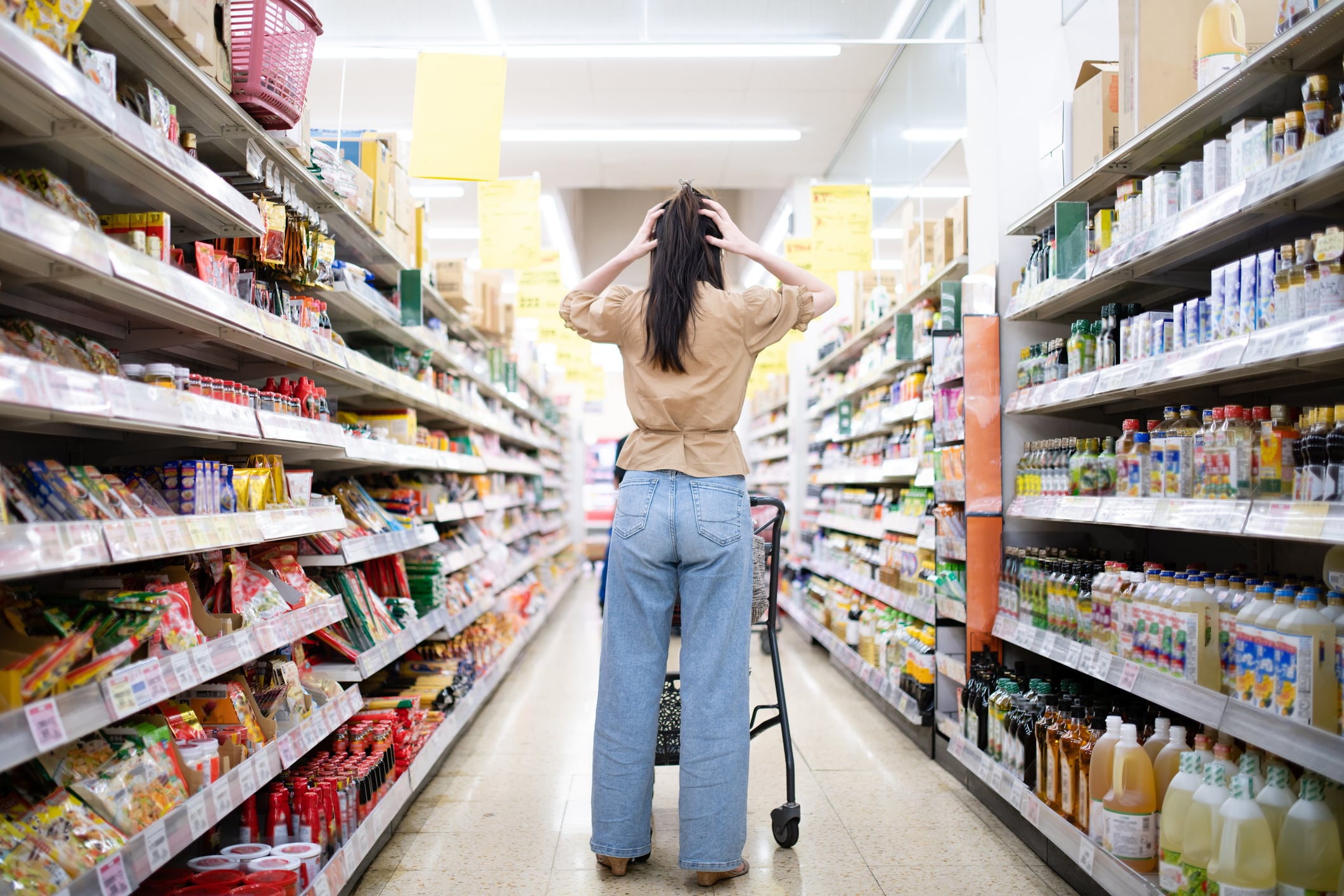 Pricing pains: Japan government to set system for food price hikes